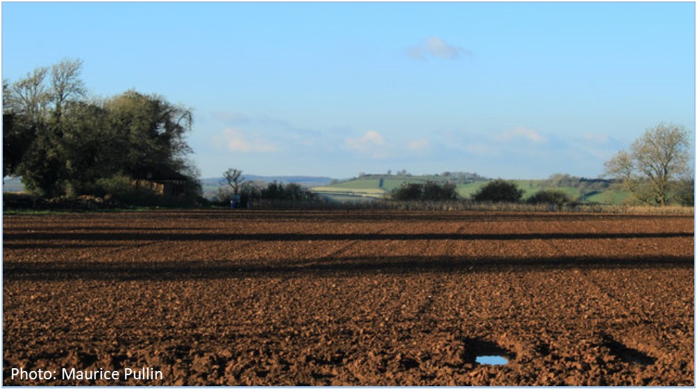 ploughed