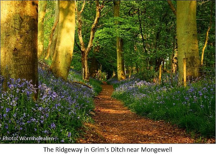 ridgeway mongwell