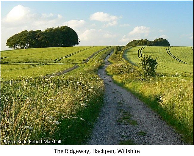 the ridgeway hackpen wiltshire