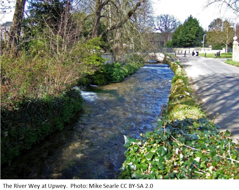 The River Wey at Upwey