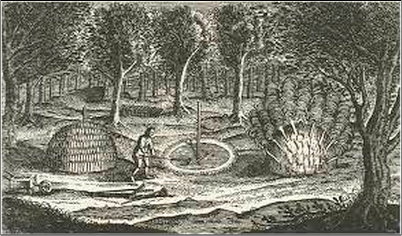 Charcoal Burning John Evelyn’s Sylva 1664