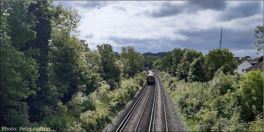 Dulwich Rail Cutting